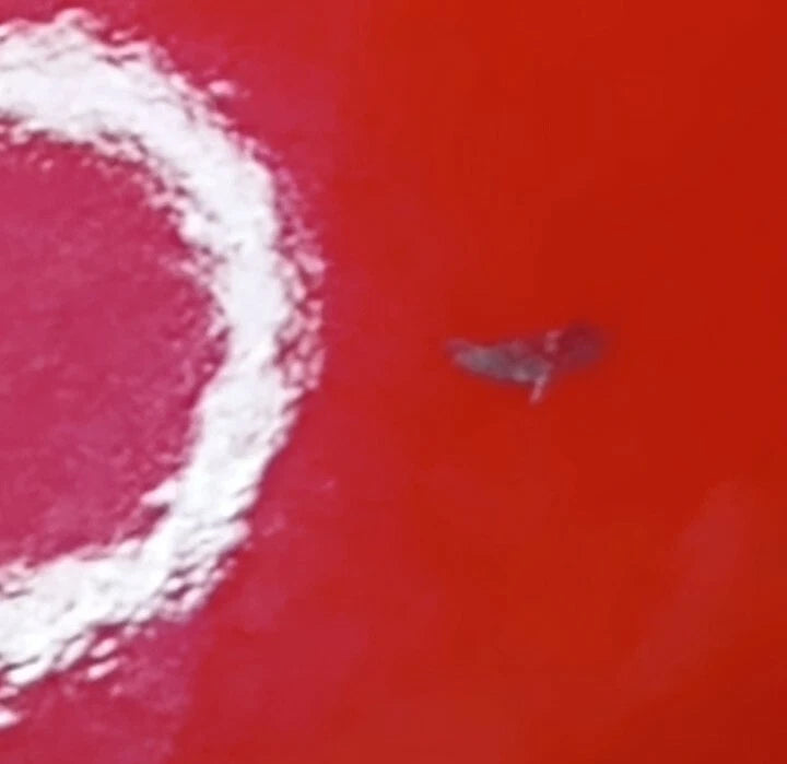 Adorable Chantal Teapot Kettle Rich Red Enamel Stainless Accent German 1.75 ltr