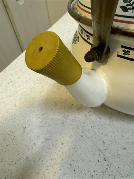 Gailstyn-Sutton Tea Pot Kettle Enamel Jardine Collection MCM Floral 1981 Japan