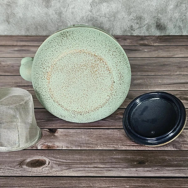 Cast Iron Kettle Enamel Interior Leaf Diffuser Sage Green 4-Cup 32oz Tea Pot