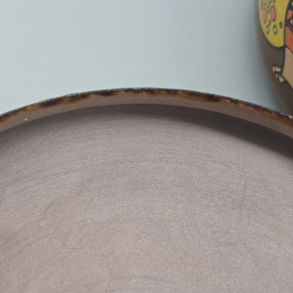 Vintage 70's Mushroom & Fruit Enamelware Brown Tea Kettle With Lid & Handle