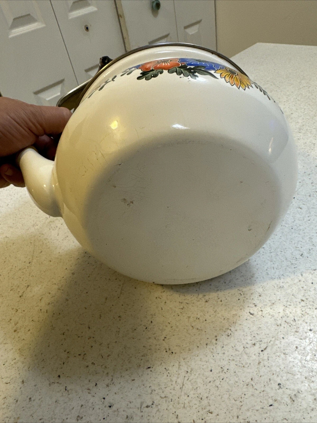 Gailstyn-Sutton Tea Pot Kettle Enamel Jardine Collection MCM Floral 1981 Japan