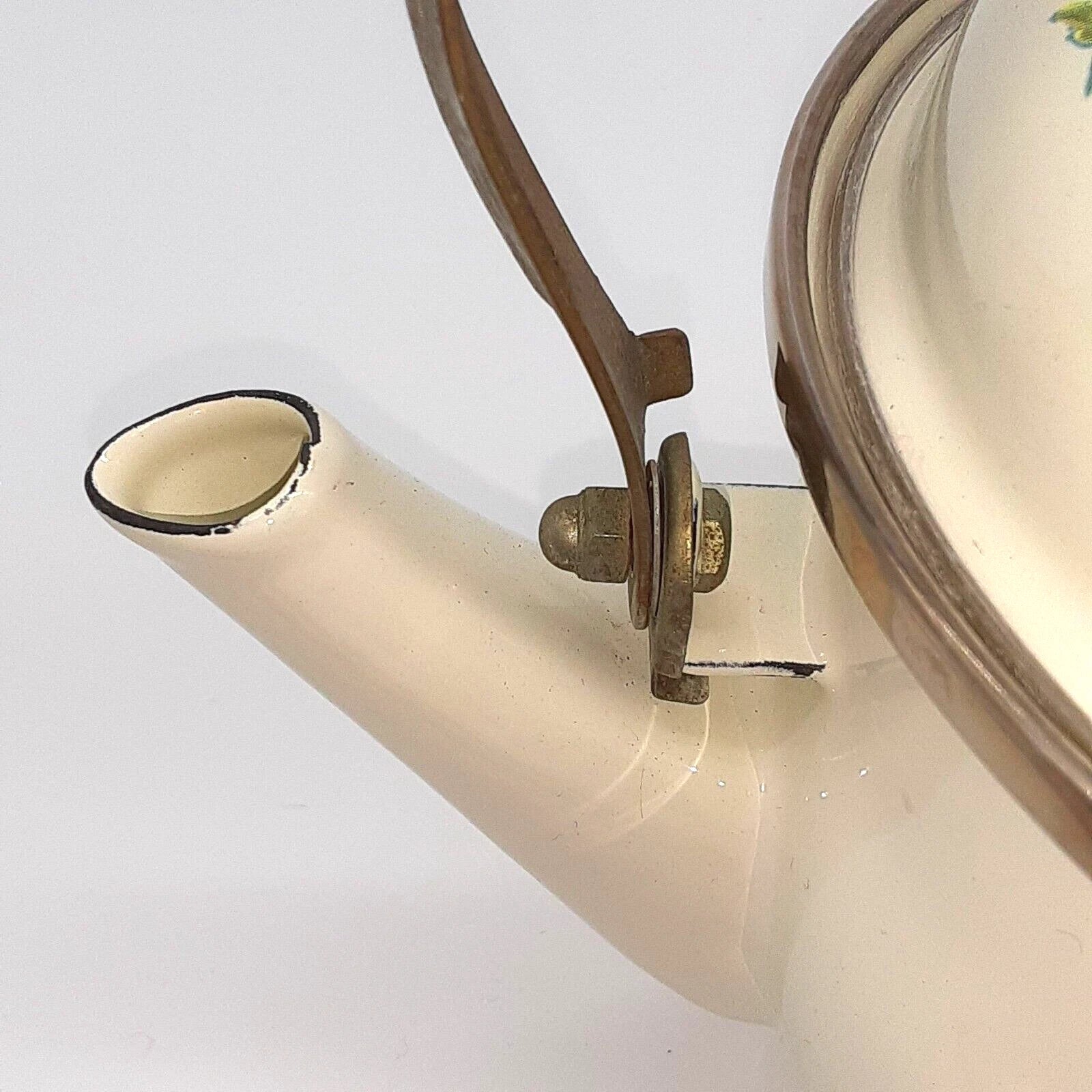 Vintage Water Kettle Tea Pot Enamel Fruit Cottagecore Chic Country Farm House