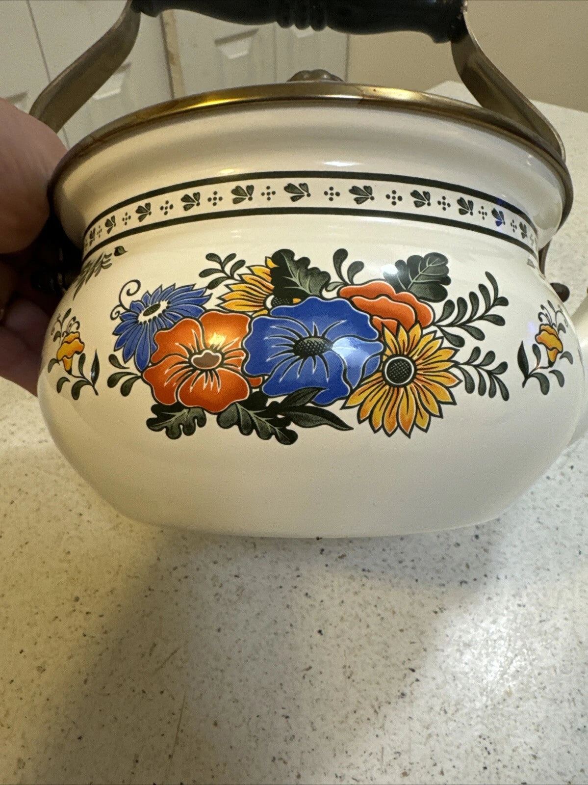 Gailstyn-Sutton Tea Pot Kettle Enamel Jardine Collection MCM Floral 1981 Japan