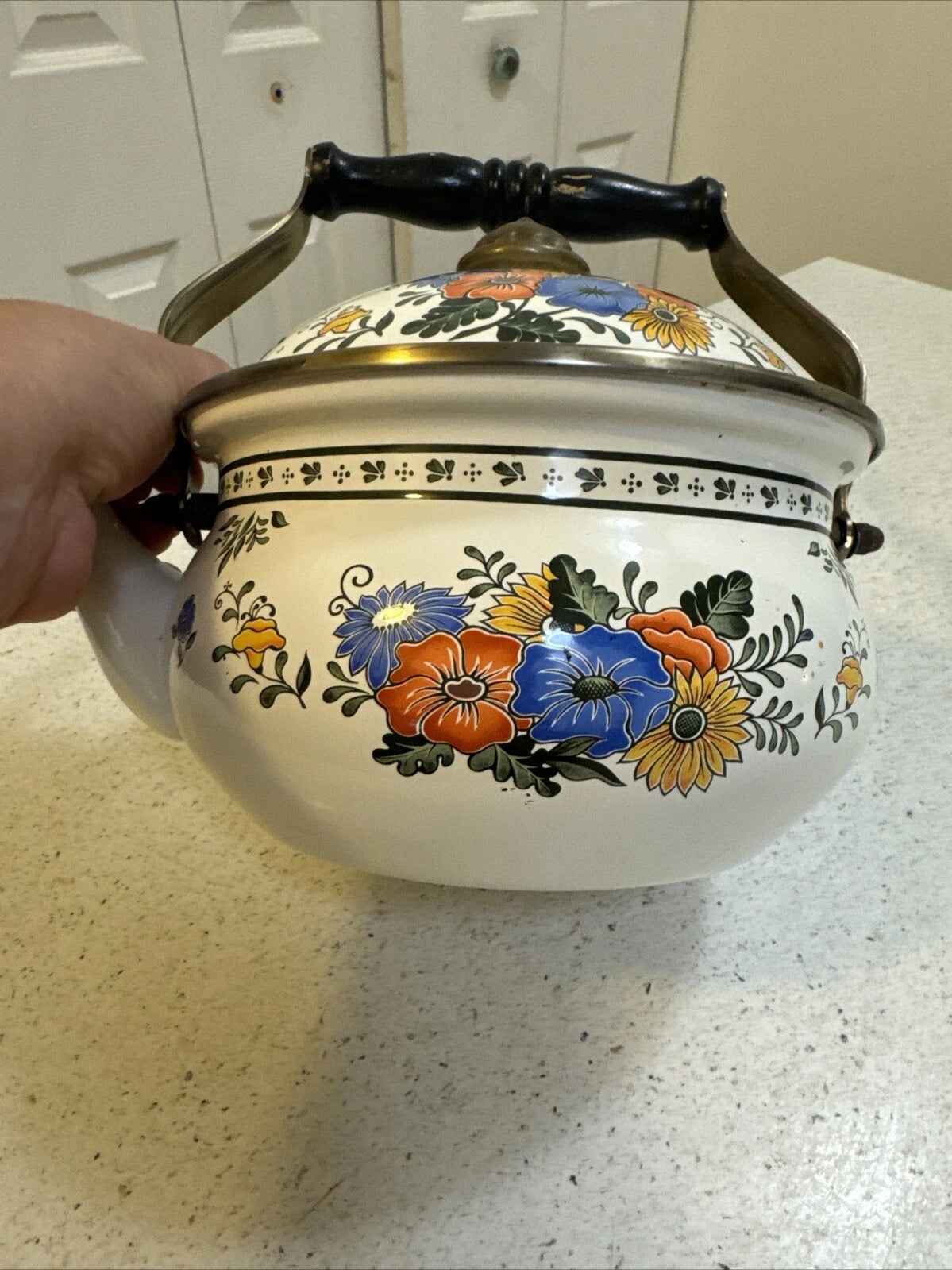 Gailstyn-Sutton Tea Pot Kettle Enamel Jardine Collection MCM Floral 1981 Japan