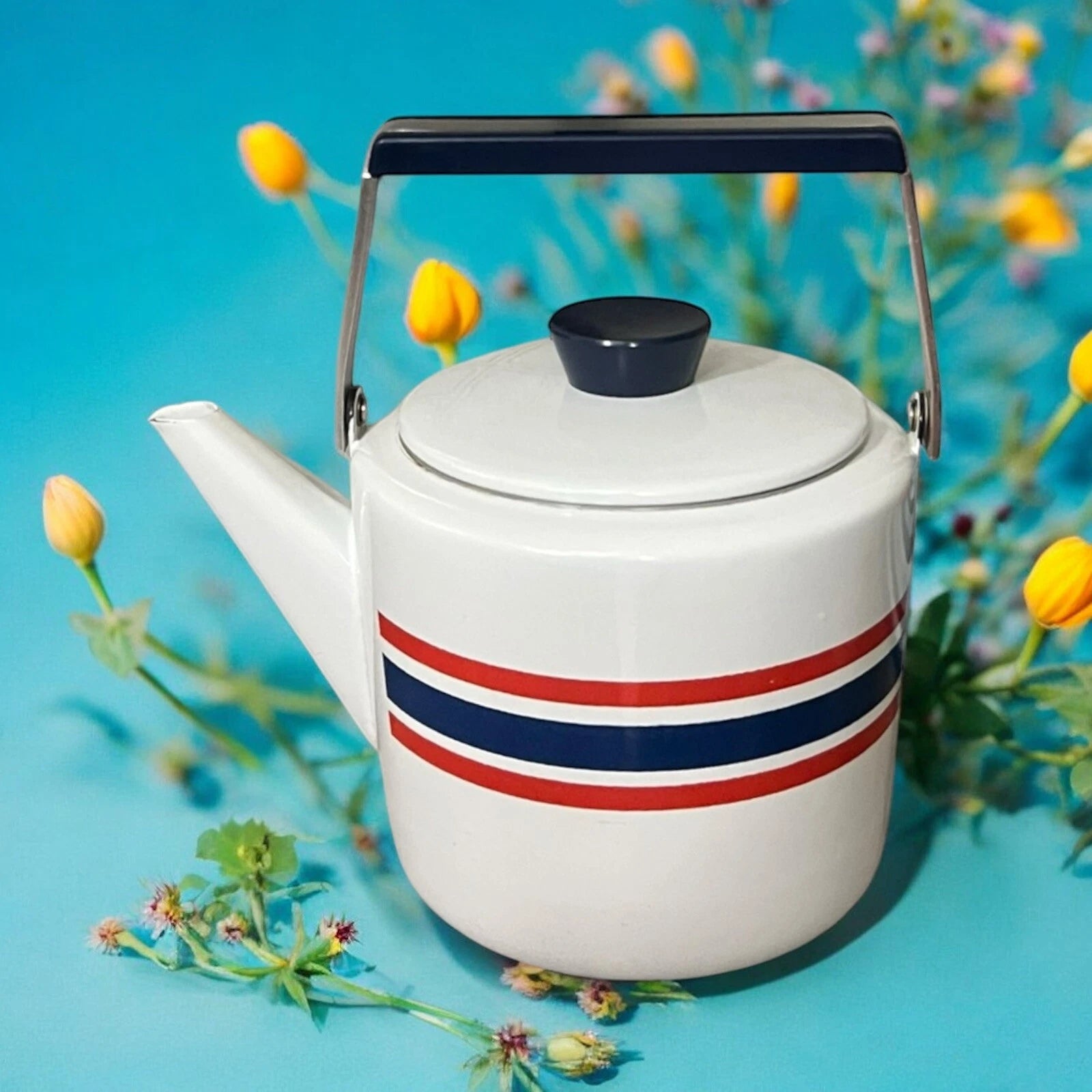 VTG Rare Cathrineholm Club Celebration Norway Enamel Tea Kettle 2 Qt White Red