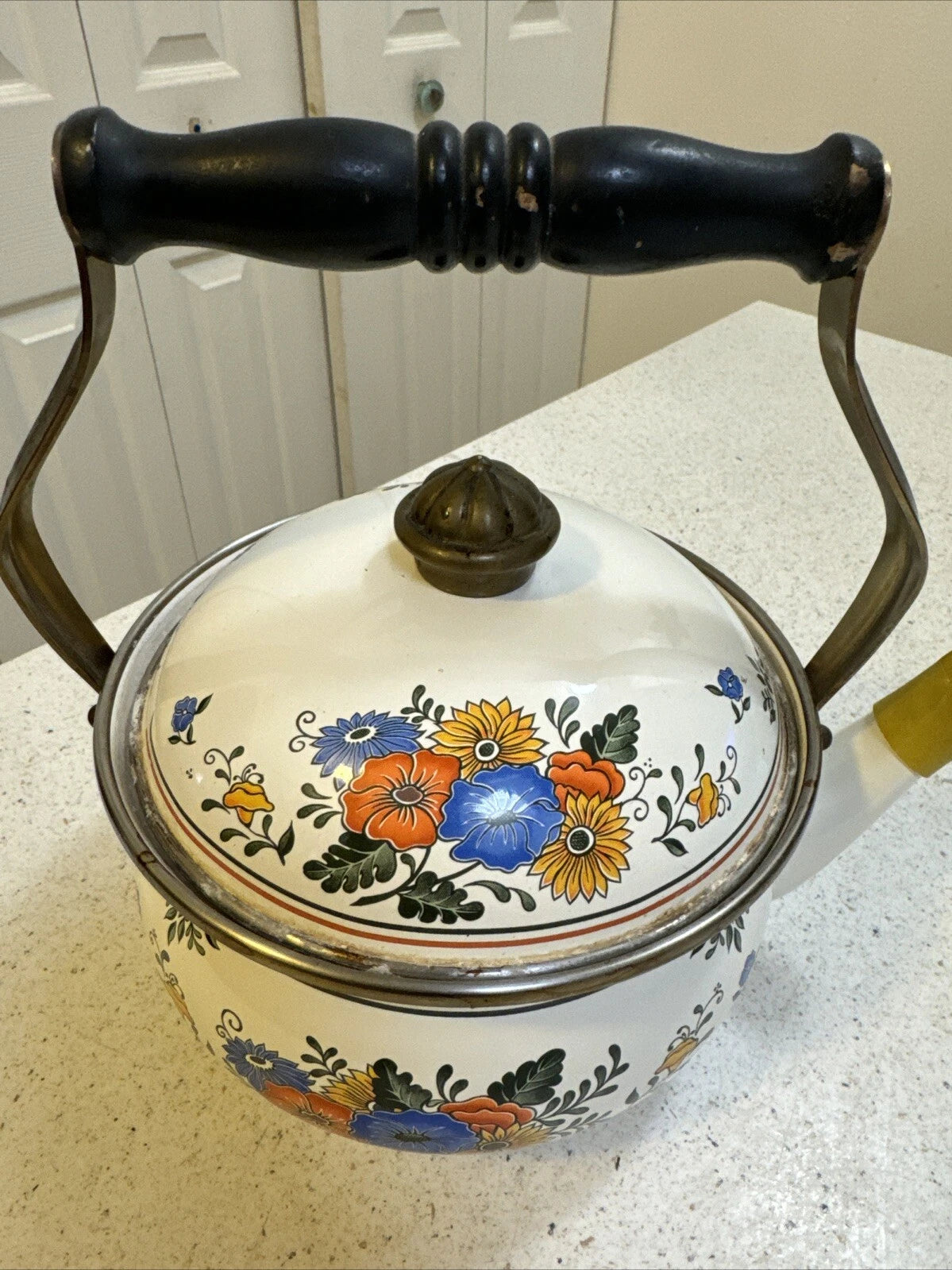 Gailstyn-Sutton Tea Pot Kettle Enamel Jardine Collection MCM Floral 1981 Japan