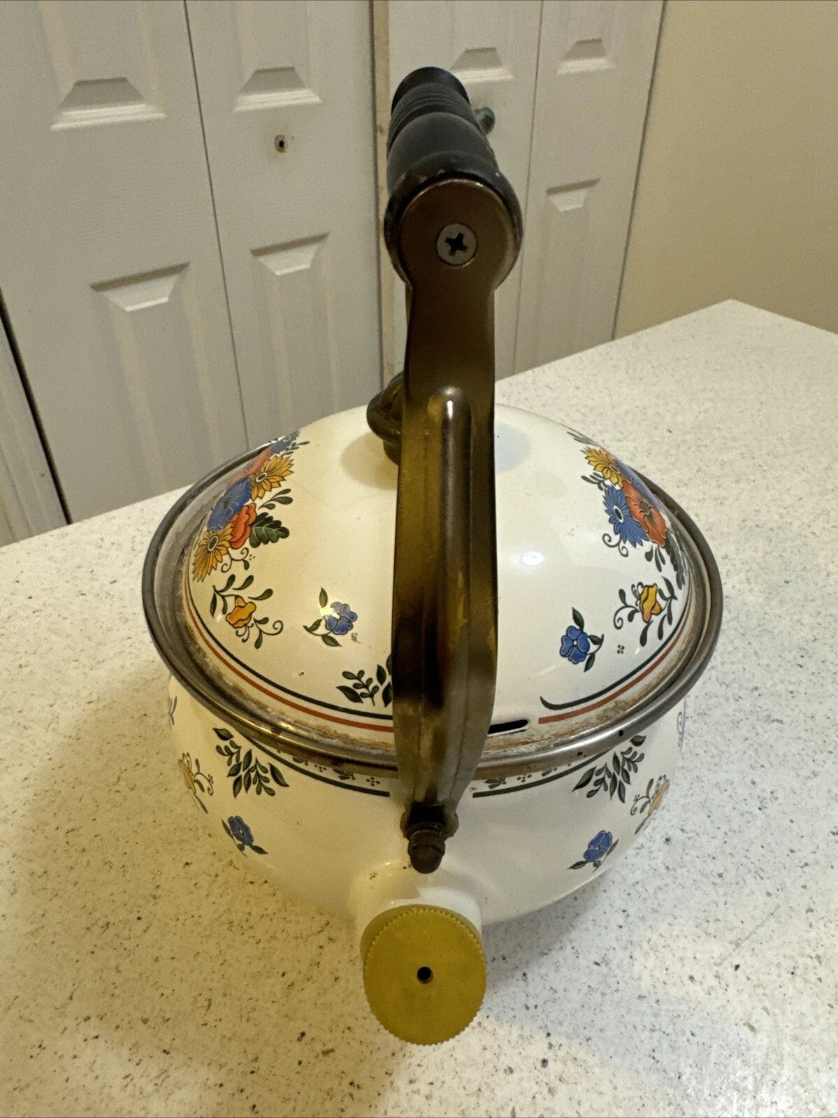 Gailstyn-Sutton Tea Pot Kettle Enamel Jardine Collection MCM Floral 1981 Japan