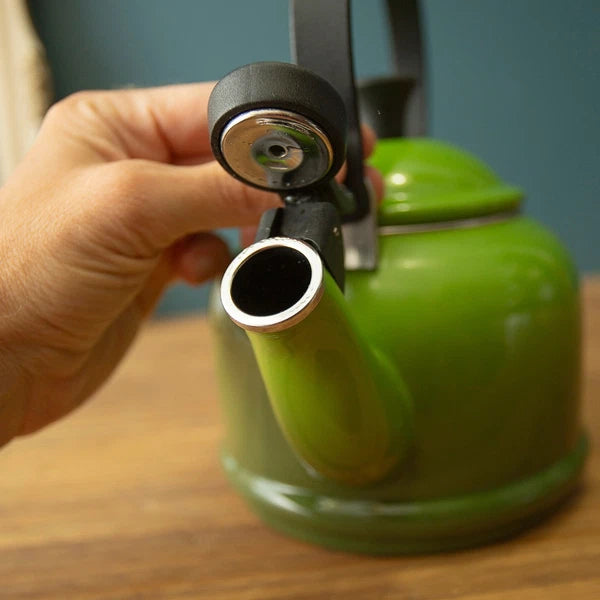 Le Creuset Enamel Demi Tea Kettle 1.25 Quart Green Palm Hombre