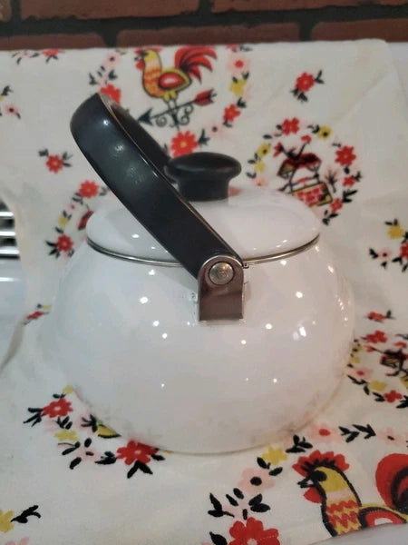 Siam Fuji Ware Tea Kettle White Enamel Pre-loved 2.3 Qt