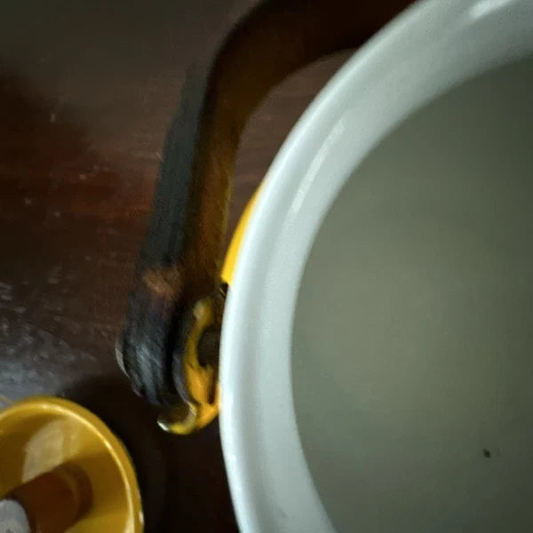 Vintage Yellow Enamel Kettle Tea Pot