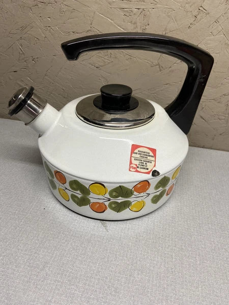 Tea Pot Vintage Austria Email Kettle
